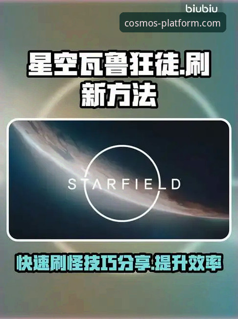 如何从星空官网下载最新版本？这份实战指南给你答案