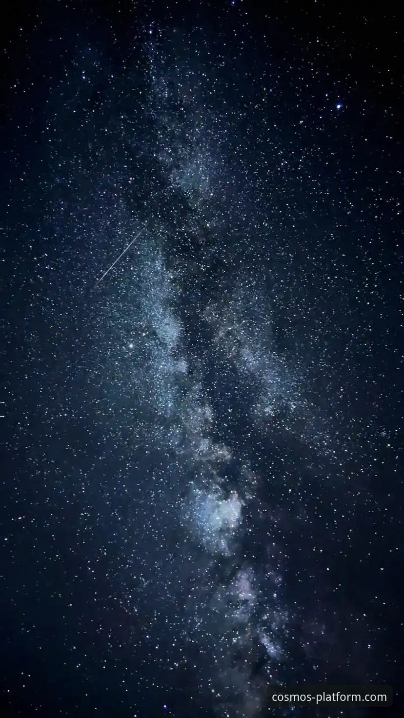 3步搞定星空手机版下载攻略，解锁官方平台数据服务