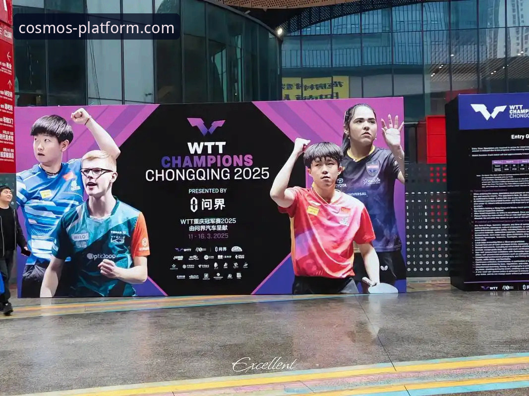 WTT重庆冠军赛决赛深度评测：从数据流视角解析一场青春风暴