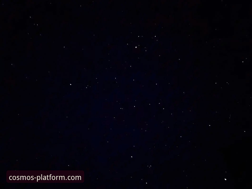 资深技术评测员分享：为何“星空决策支持”是我数据服务的核心选择