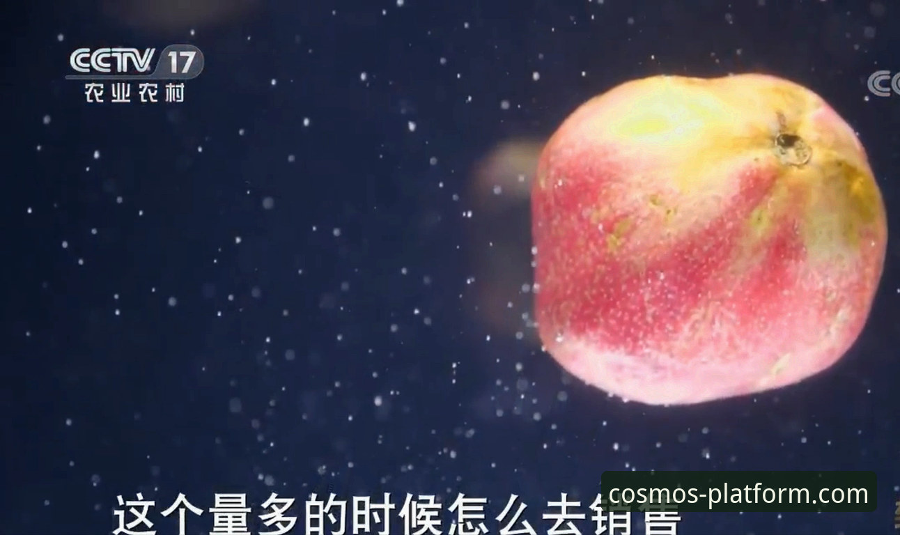 3年实战老手揭秘：星空最新版本下载推荐与数据服务使用心得